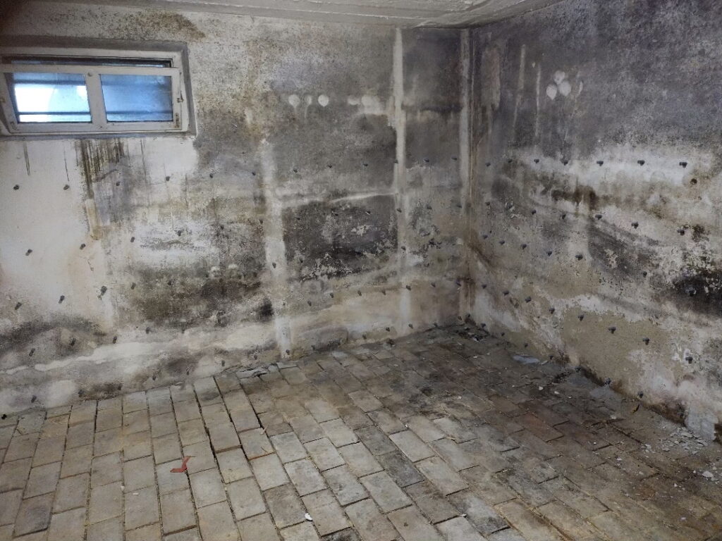 vorher-bild-kellerbodensanierung-abdichtungstechnik-kapp